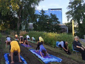 Community members taking a yoga class at Fairgate Farm